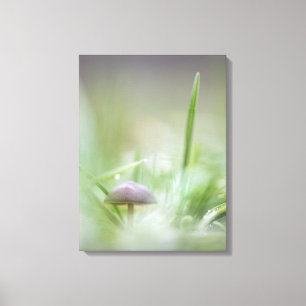 Foto paddenstoel Natuur Canvas Afdruk
