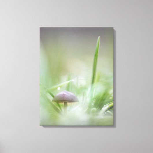 Foto paddenstoel Natuur Canvas Afdruk (Voorkant)