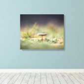 Foto paddenstoel Natuur Canvas Afdruk (Insitu (Houten vloer))