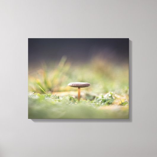 Foto paddenstoel Natuur Canvas Afdruk (Voorkant)