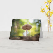 Foto paddenstoel Natuur Kaart (Gele Bloem)