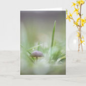 Foto paddenstoel Natuur Kaart (Gele Bloem)