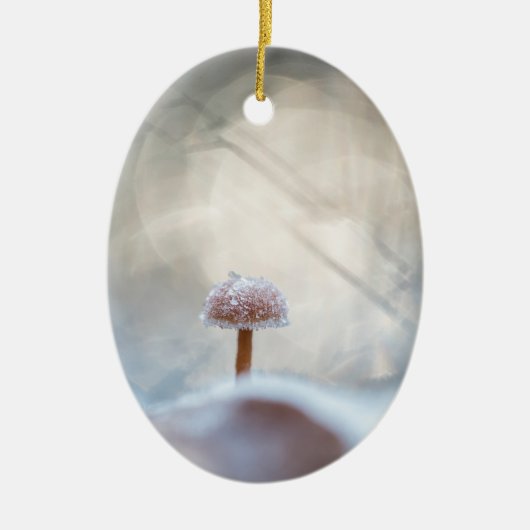 Foto paddenstoel Natuur Keramisch Ornament (Voorkant)
