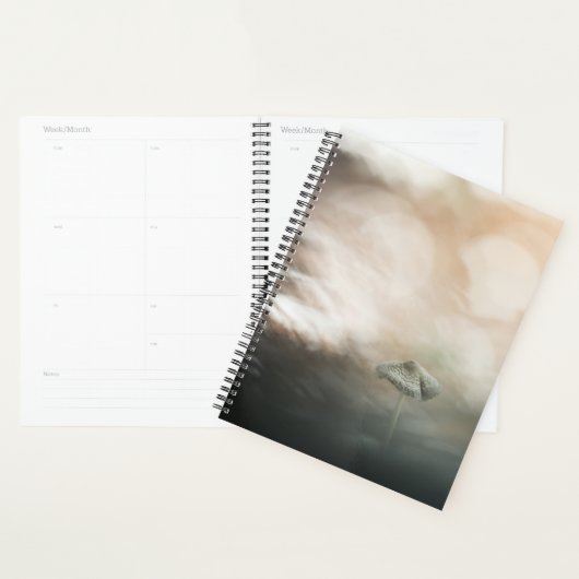 Foto paddenstoel Natuur Planner (Display)