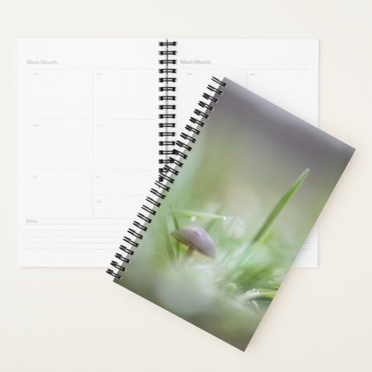Foto paddenstoel Natuur Planner (Display)