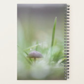 Foto paddenstoel Natuur Planner (Achterkant)