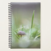Foto paddenstoel Natuur Planner (Voorkant)