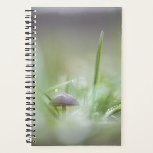 Foto paddenstoel Natuur Planner (Voorkant)