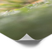 Foto paddenstoel Natuur Poster (Hoek)