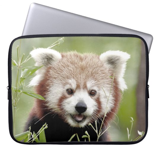 Foto panda, dierlijk laptop hoesjes. laptop sleeve (Voorkant)