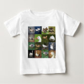 Foto Patchwork Square - Birds (Voorkant)
