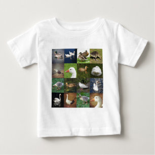 Foto Patchwork Square - Birds