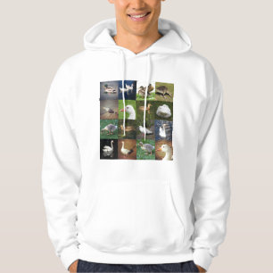 Foto Patchwork Square - Birds Hoodie