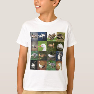 Foto Patchwork Square - Birds T-shirt