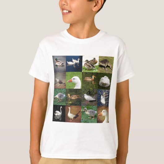 Foto Patchwork Square - Birds T-shirt (Voorkant)