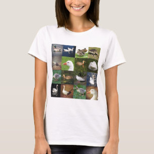 Foto Patchwork Square - Birds T-shirt