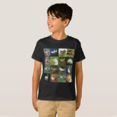 Foto Patchwork Square - Birds T-shirt (Voorkant volledig)