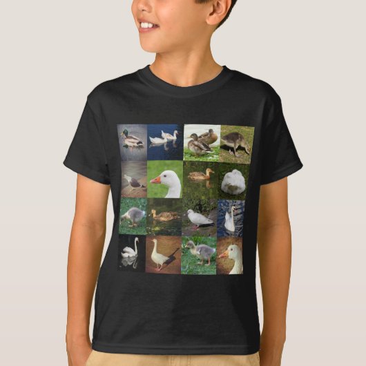 Foto Patchwork Square - Birds T-shirt (Voorkant)