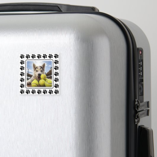  foto Paw-trait Perfection Magneet (Insitu (bagage))