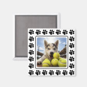  foto Paw-trait Perfection Magneet (Voorkant / Achterkant)