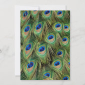 Foto Peacock Afstuderen Invitation Kaart (Achterkant)