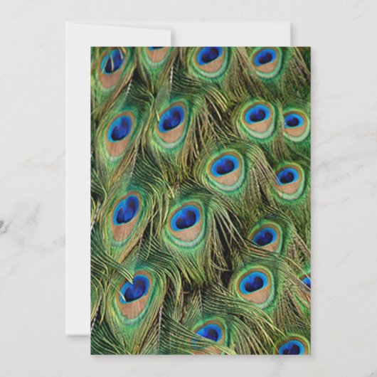 Foto Peacock Afstuderen Invitation Kaart (Achterkant)