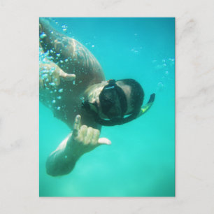 foto perfect snorkelen briefkaart