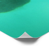 foto perfect snorkelen poster (Hoek)