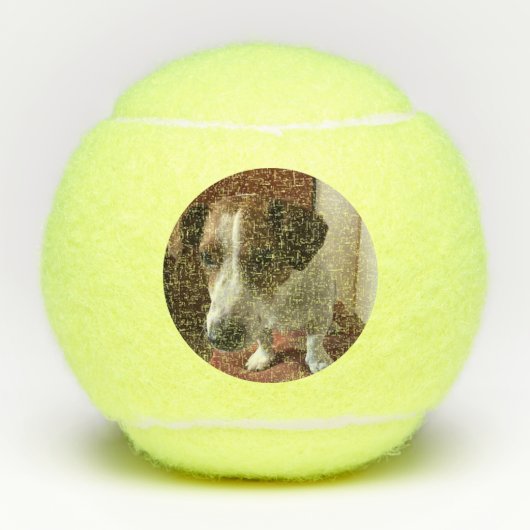 Foto personalisierte Tennis-Bälle Tennisbälle Tennisballen (Voorkant)