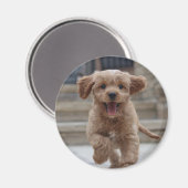 Foto Pet | Afbeelding Upload Cute Schattige Dog Magneet (Voorkant / Achterkant)