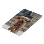 Foto Pet | Afbeelding Upload Cute Schattige Dog Magneet (Linkerzijde)