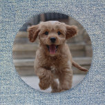 Foto Pet | Afbeelding Upload Cute Schattige Dog Ronde Button 5,7 Cm<br><div class="desc">Met de aangepaste foto kunt u uw eigen sjabloon maken en uw favoriete foto van uw hond, kat, huisdieren, baby, kinderen, familie of vrienden opnemen! Een makkelijk te personaliseren sjabloon om je eigen design te maken met je eigen afbeelding. Het perfecte cadeau voor een geliefde! Het getoonde afbeelding is voor...</div>