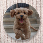 Foto Pet | Afbeelding Upload Cute Schattige Dog Ronde Button 5,7 Cm<br><div class="desc">Met de aangepaste foto kunt u uw eigen sjabloon maken en uw favoriete foto van uw hond, kat, huisdieren, baby, kinderen, familie of vrienden opnemen! Een makkelijk te personaliseren sjabloon om je eigen design te maken met je eigen afbeelding. Het perfecte cadeau voor een geliefde! Het getoonde afbeelding is voor...</div>