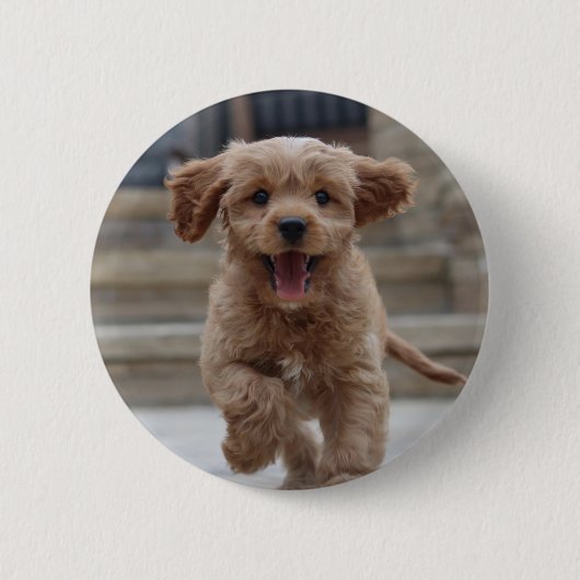 Foto Pet | Afbeelding Upload Cute Schattige Dog Ronde Button 5,7 Cm (Voorkant)