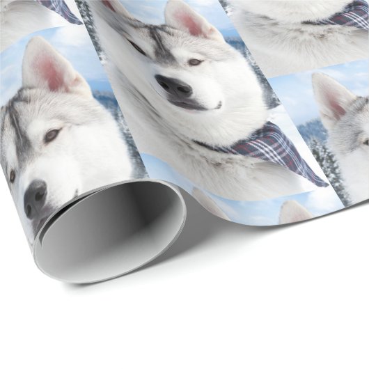 Foto Pet Cadeaupapier (Rol Hoek)