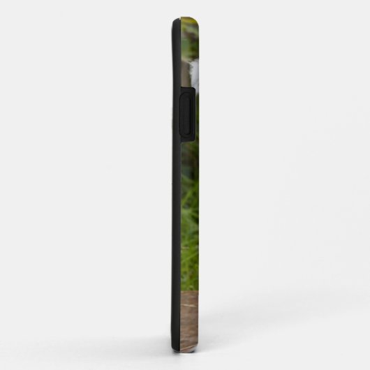 Foto Pet Case-Mate iPhone Case (Achterkant/rechts)