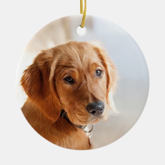 Foto Pet Keramisch Ornament (Voorkant)