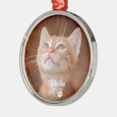 Foto Pet Metalen Ornament (Links)