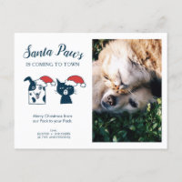 Foto Pet | Santa Paws | Kerst van de kattehond