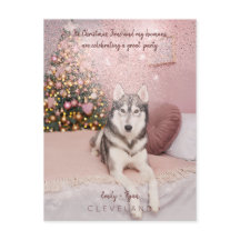 Foto Pet Sophisticated Kerstparty