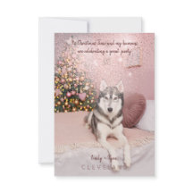 Foto Pet Sophisticated Kerstparty