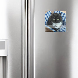 Foto Pet Sticker met naam Magneet