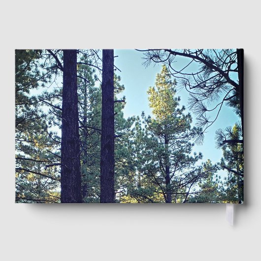 Foto Pine Tree Forest Achtergrond Memorial Gastenboek (Achterkant)