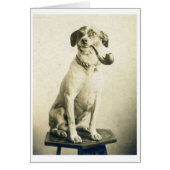 foto - Pipe Smoking Dog, (Voorkant)