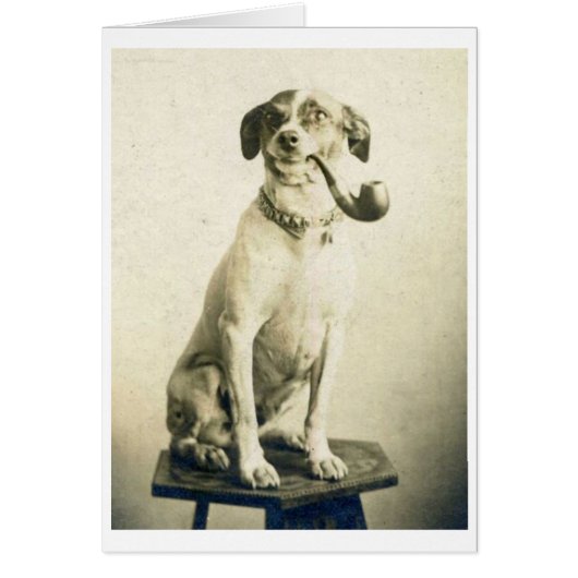  foto - Pipe Smoking Dog, (Voorkant)