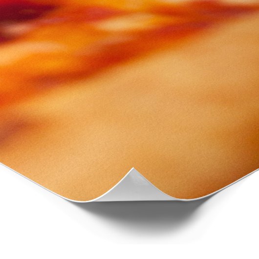 Foto Pizza Poster (Hoek)