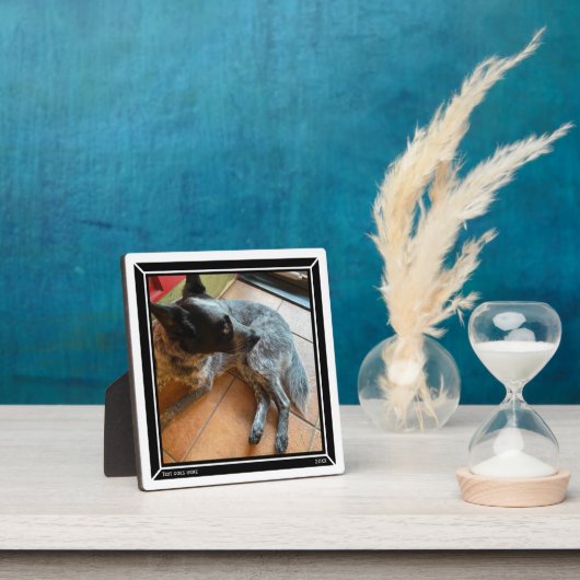 Foto Plaque Black Border HAMbWG Fotoplaat (Insitu)