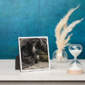 Foto Plaque met Border and Text HAMbWG Fotoplaat (Insitu)