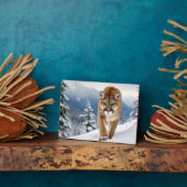 Foto Plaque-Mountain Lion Fotoplaat (Zijkant)