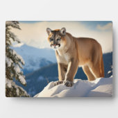 Foto Plaque-Mountain Lion Fotoplaat (voorkant)